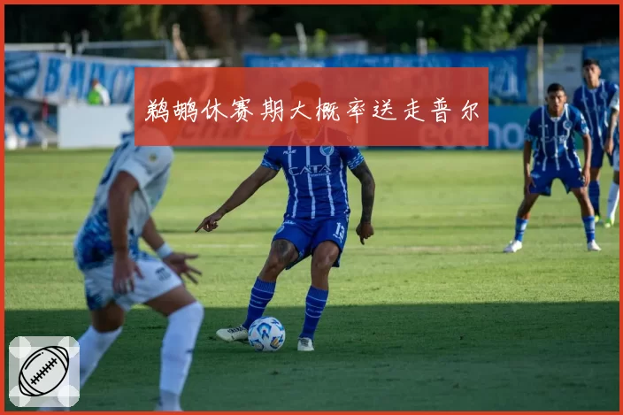 鹈鹕休赛期大概率送走普尔