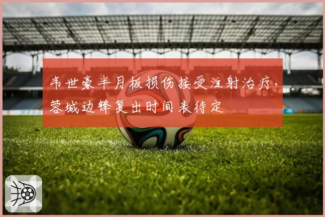 韦世豪半月板损伤接受注射治疗,蓉城边锋复出时间表待定