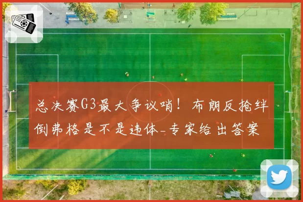 总决赛G3最大争议哨！布朗反抢绊倒弗格是不是违体_专家给出答案