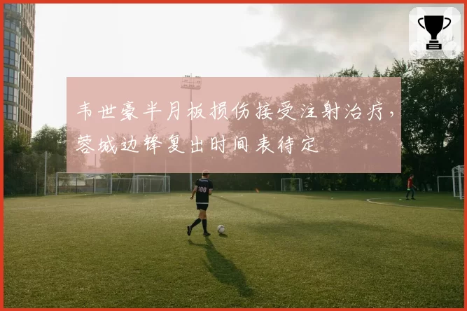 韦世豪半月板损伤接受注射治疗，蓉城边锋复出时间表待定