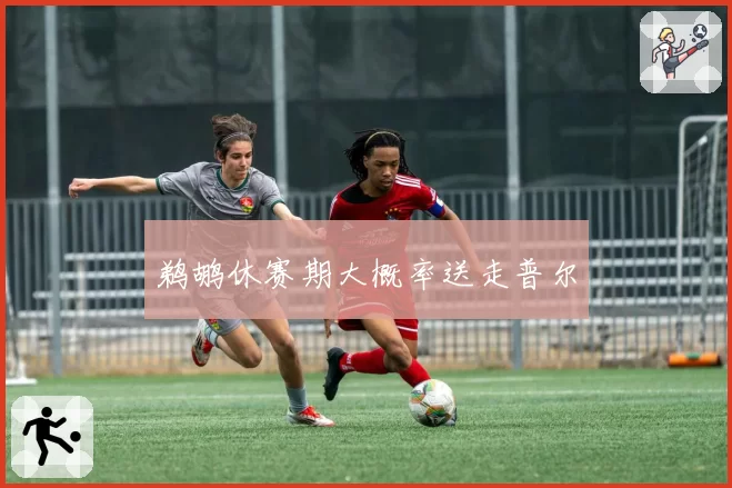 鹈鹕休赛期大概率送走普尔
