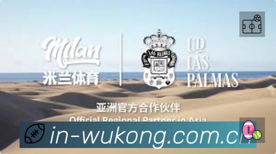 悟空体育活动图