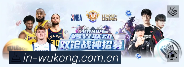 奖项5